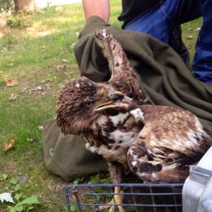 Meet your Posher, Bryan